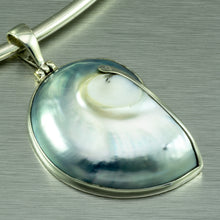 Load image into Gallery viewer, Nautilus Shell Medium Size Pendant
