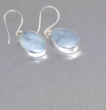 Load image into Gallery viewer, Nautilus silver earrings