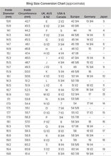 Load image into Gallery viewer, Ring Size Conversion Table