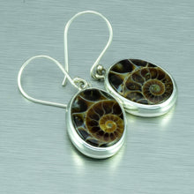 Load image into Gallery viewer, High quality, polished oval ammonite fossil silver earrings.