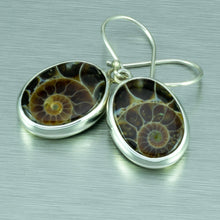 Load image into Gallery viewer, High quality, polished oval ammonite fossil silver earrings.