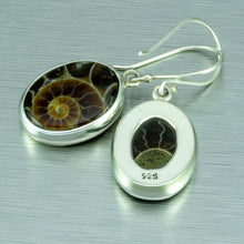 Load image into Gallery viewer, High quality, polished oval ammonite fossil silver earrings.