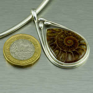 Teardrop polished ammonite sterling silver pendant