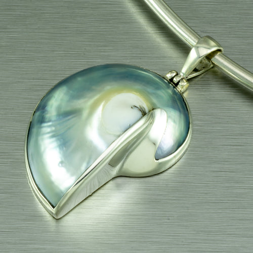 Nautilus Shell Medium Size Pendant