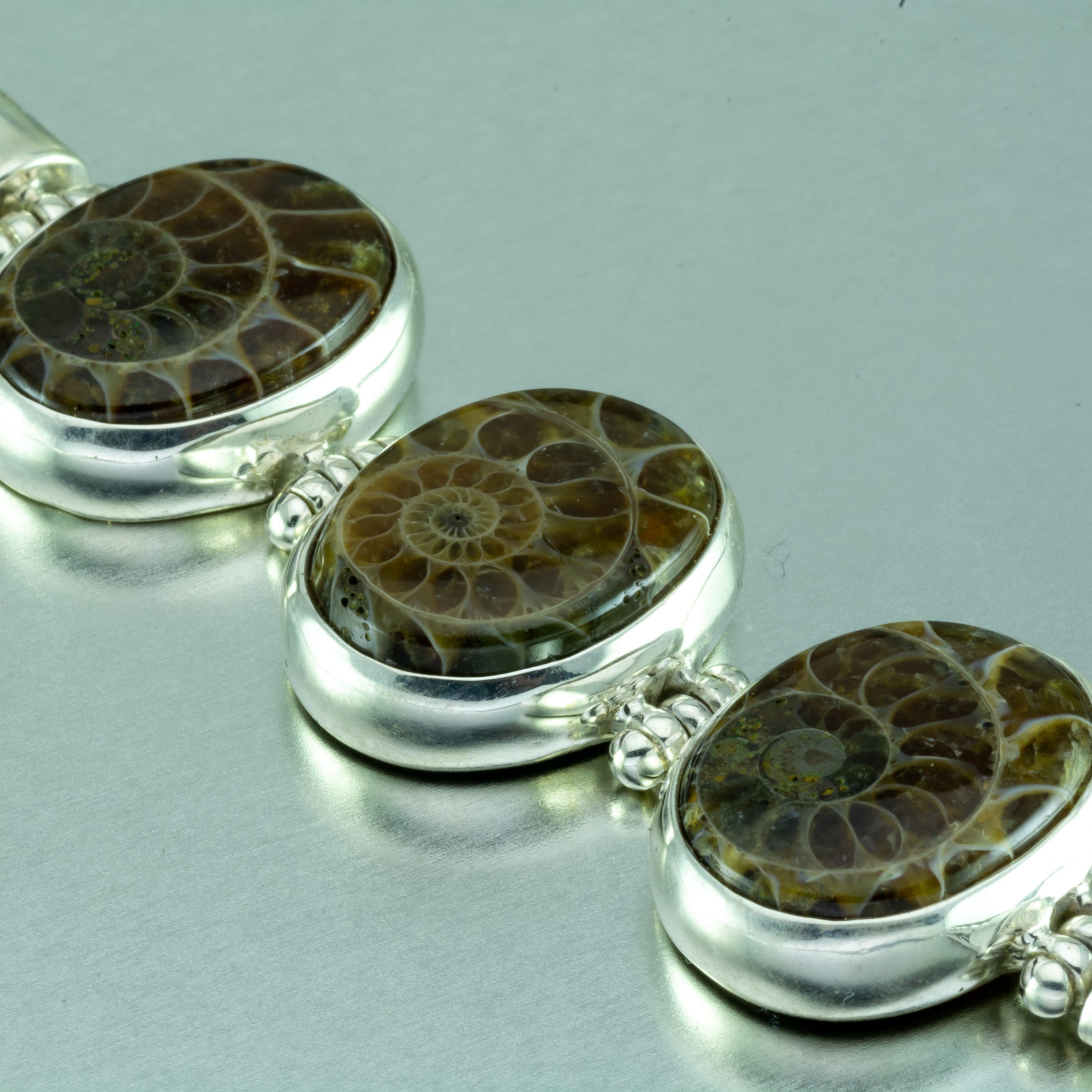Small Ammonite Pendant | Fossil Necklace | Whaler's Locker