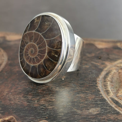 Large Ammonite silver ring.