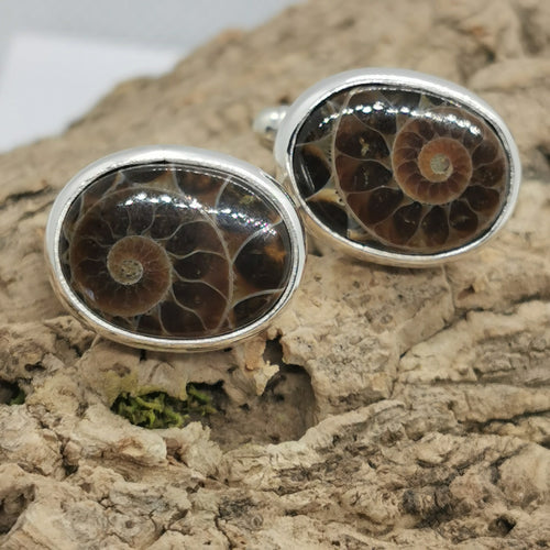 Oval Ammonite Fossil Cufflinks, 925 Sterling Silver